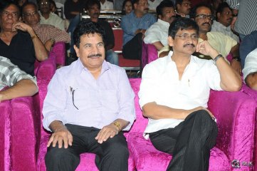 Hora Hori Movie Audio Launch